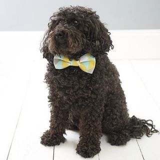 pastel point dog bow tie by east end best friend