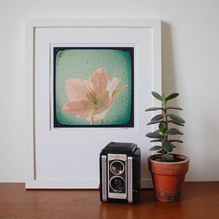 nostalgia photographic print by cassia beck photography