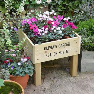 personalised raised planter by plantabox