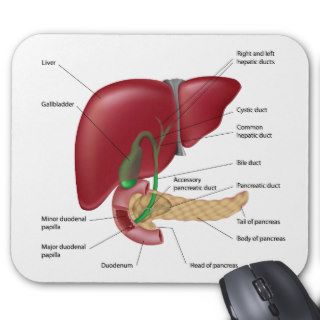 Liver pancreas diagram Mousepad