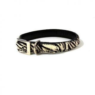 Robin Meyer 10" Zebra Print Dog Collar