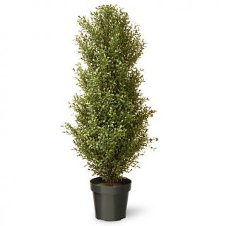 Artificial 48" Argentea Plant in Green Growers Pot