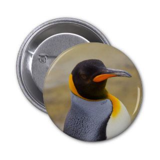Emperor Penguin Pin