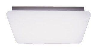 Thomas Lighting FCN231B EB Two Light Cloud Style Fluorescent Ceiling Light, White, 2 Inch W by 2 Inch H   Close To Ceiling Light Fixtures  