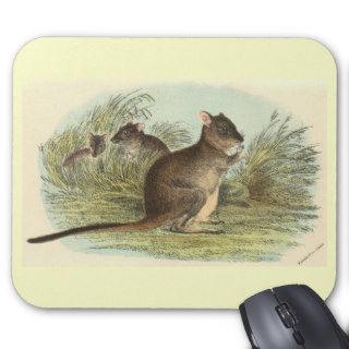 Richard Lydekker   Brush Tailed Rat Kangaroo Mouse Mat