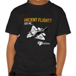 Mayan plane tee shirt