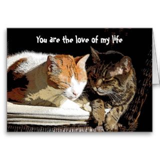 Valentine card / Anniversary card   Cats
