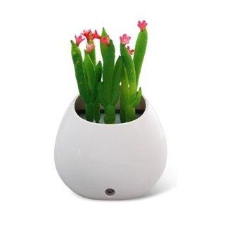 Simulate Cactus Potted Plant Design LED Night Light with Intelligent Light Control  