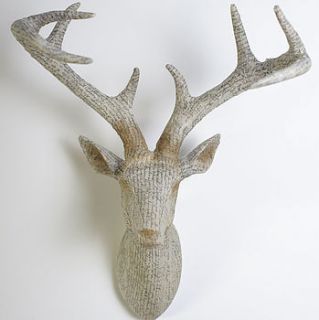 deer head wall hanging by the orchard
