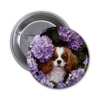 Cavalier King Charles Spaniel Red and White Button