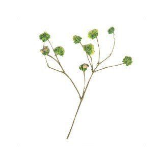 Greetings of Grace Pressed Flowers   Baby Breath (dyed green)   10 pack   Artificial Flowers