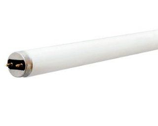 Ge Starcoat Linear Fluorescent Bulb   Compact Fluorescent Bulbs  
