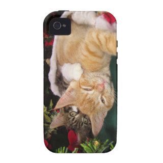 Christmas Cats, Cute Kittens Hugging, Kitty Smile Case Mate iPhone 4 Case