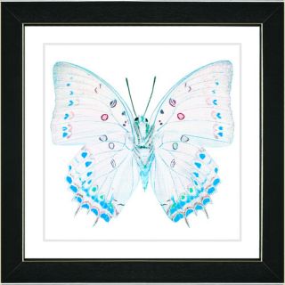 White Butterfly Framed Fine Art Giclee Print