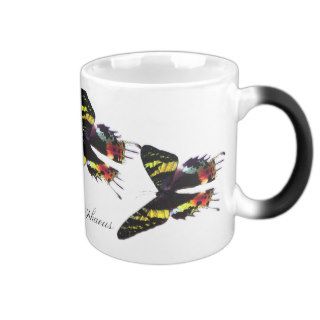 Madagascar Sunset Moth Coffee Mug