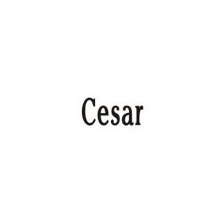 Cesar Laser Name Italian Charm Link Jewelry
