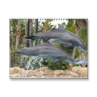 dolphins wall calendar