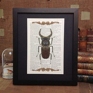 upcycled dictionary antique paper beetle by roo abrook