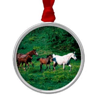 Horse Morning Jog Arabian Christmas Ornaments