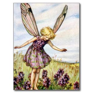 Wild Thyme Fairy Postcards