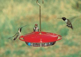 Aspects 153 Mini Hummzinger Hummingbird Feeder, 8 Ounce  Wild Bird Feeders  Patio, Lawn & Garden