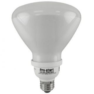 ES144 23W WW (R40)   23 watt, 120 volt, R40 Type CFL, 2700K Warm White   Led Household Light Bulbs  