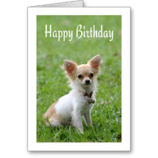 Happy Birthday Chihuahua Puppy Green Greeting Card