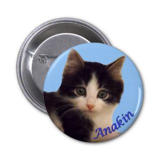 Anakin Two Legged Cat Logo, Cute Kitten Button