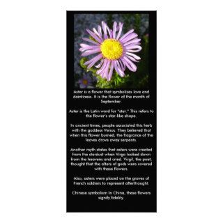 Magenta Aster   A Star of Love and Fidelity Full Color Rack Card