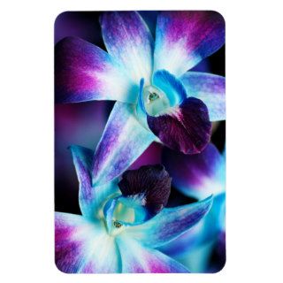 Purple & Blue Dendrobium Orchid Customized Orchids Rectangular Magnets