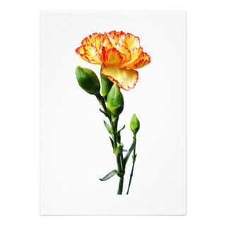 One Red Tipped Yellow Carnation Announcement