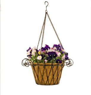 Deer Park BA131 French Hanging Basket with Cocoa Moss Liner  Hanging Planters  Patio, Lawn & Garden