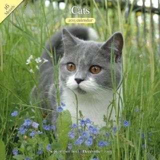 Magnet & Steel Cats Calendar Wall Calendar  Pet Memorial Products 
