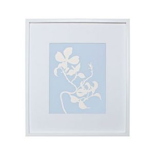 dogwood botanical mounted fine art print by kitzieg