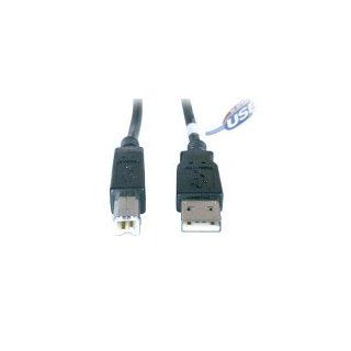 D Link DUB C2AB USB 2.0 A/B Cable 6 Feet Electronics