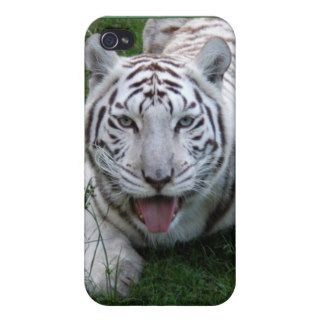 85 white tiger st patricks 0048 iPhone 4 cover