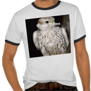 Falcon T shirts