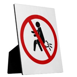 NO Farting ⚠ Funny Thai Toilet Sign ⚠ Photo Plaque