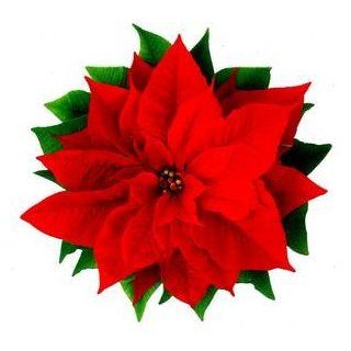 Christmas Greeting Card Poinsettia Health & Personal Care