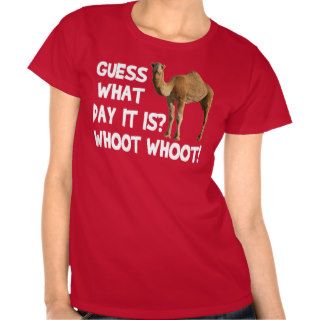Hump Day Camel T shirt