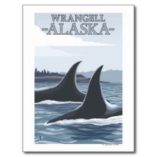 Orca Whales #1   Wrangell, Alaska Post Card