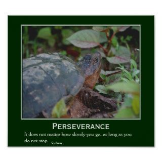 Perseverance Turtle Motivational Poster