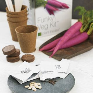 funky veg kit by plant theatre