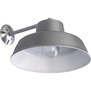 Canarm Ceiling/Wall Barn Light with Glass Bulb Shield — 14in. Dia., 120 Volt, Model# BL14CWS-O  Hanging   Fixture Lights