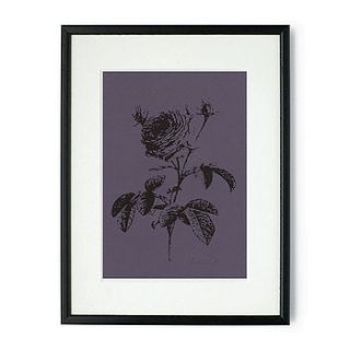 rose stem mounted & signed print by rawxclusive