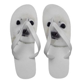 These baby seals are flip flops