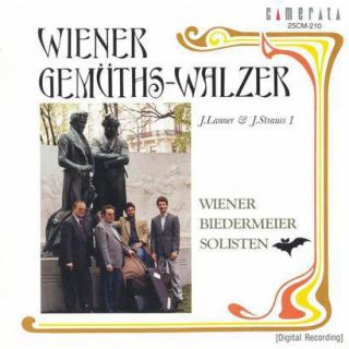 Wiener Gemüths Walzer (Mix Album)