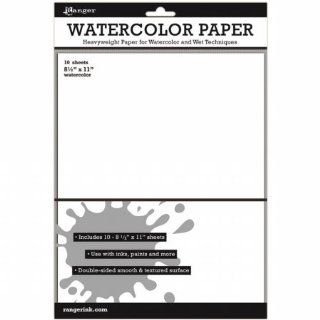 Ranger ISW39532 Surfaces Watercolor Paper   10 Pack   8.5 in. x 11 in.  Toys & Games