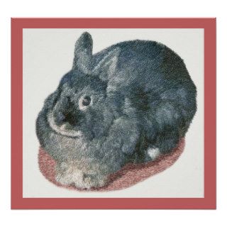 Gray Wooly Rabbit Prints and Posters