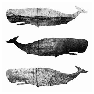 Elisabeth Fredriksson 'Whales Iii' Fine Art Giclee Print Prints
